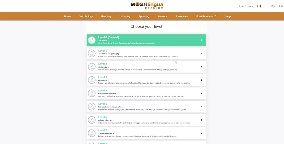 MosaLingua flashcard system