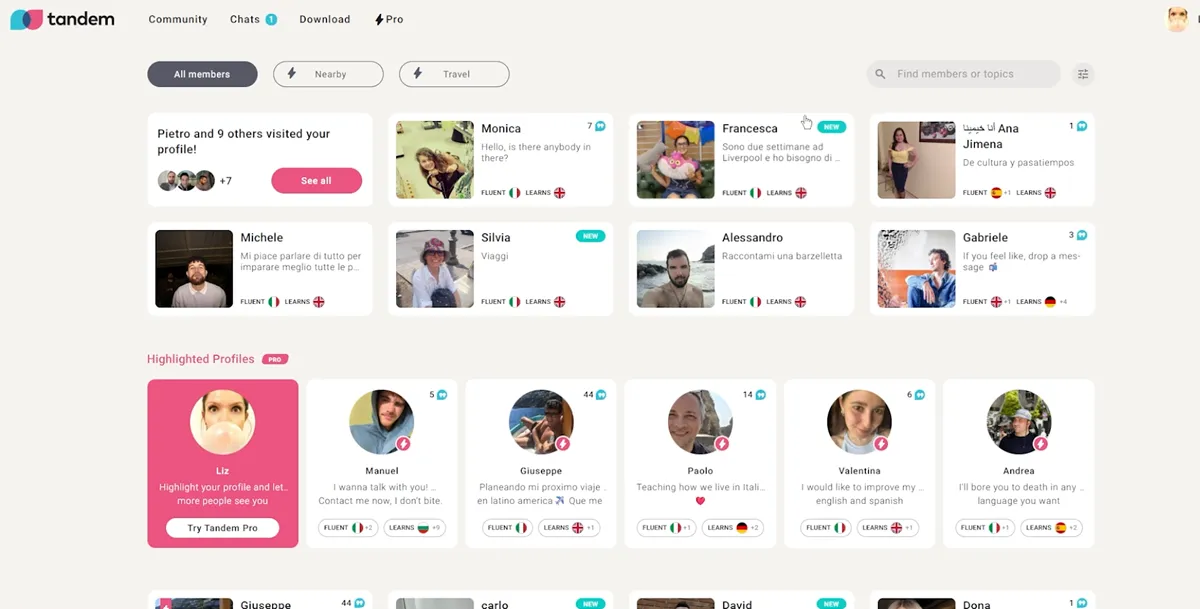 Tandem chat interface with correction and translation tools
